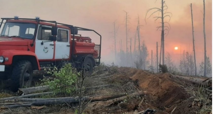 В Марий Эл произошел 31 лесной пожар 