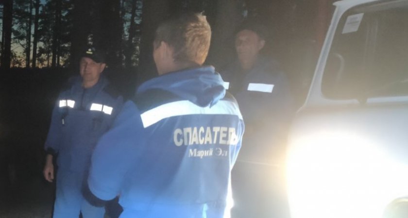 В Звениговском районе два грибника заблудились в лесу