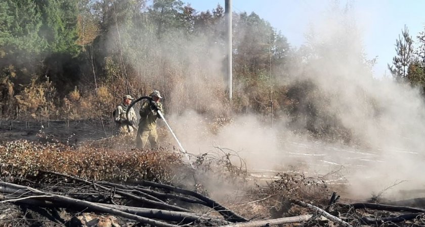 Лесам Медведевского района угрожают пожары