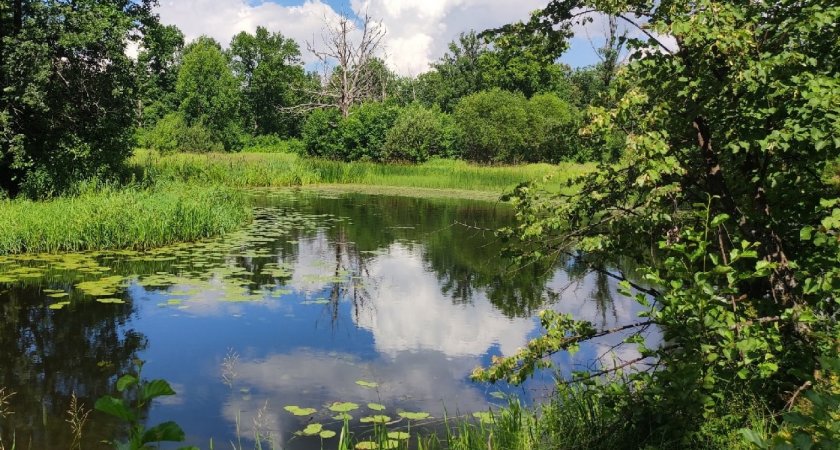 В Медведевском районе в озере Сурок утонула женщина