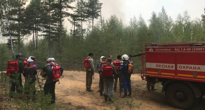 На границе Нижегородской области и Марий Эл борются с лесным пожаром