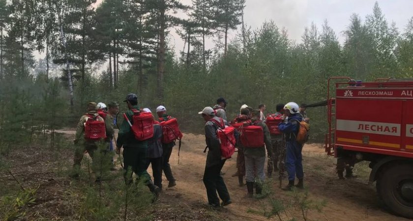 Границу Марий Эл защищают от пожара 200 человек