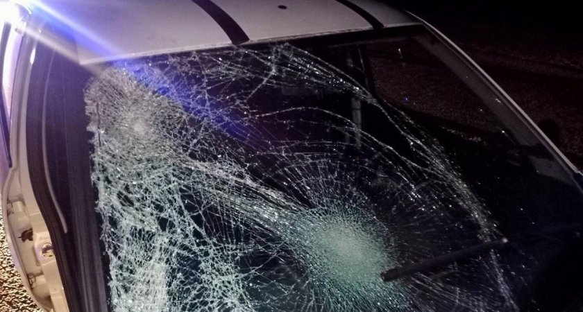 За вчерашний день в Марий Эл сбили трех пешеходов