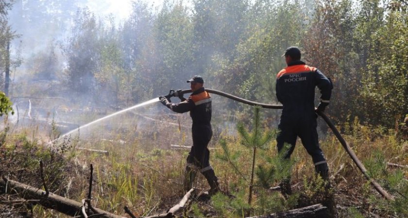 Марий Эл и Нижегородская область вводят совместный режим ЧС