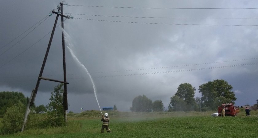 В Марий Эл загорелась линия электропередач