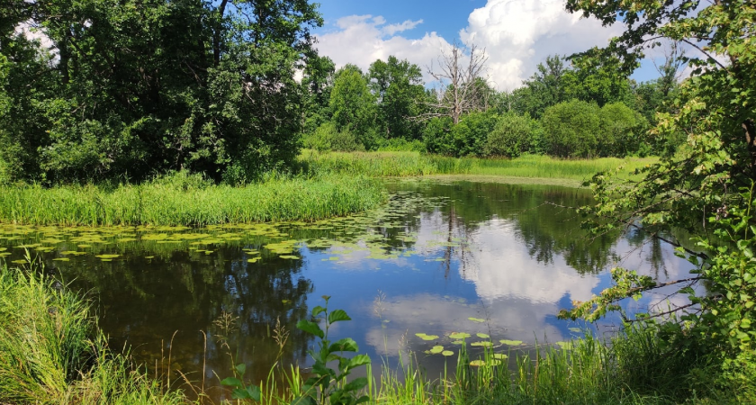 В Куженерском районе пожилой рыбак умер, распутывая сеть
