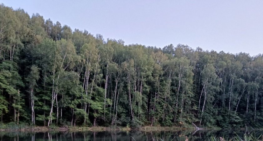 Лесной пожар в Марий Эл могут потушить в ближайшее время