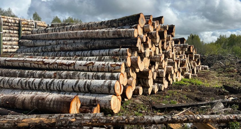 ФСБ остановила контрабанду леса из Марий Эл в Китай