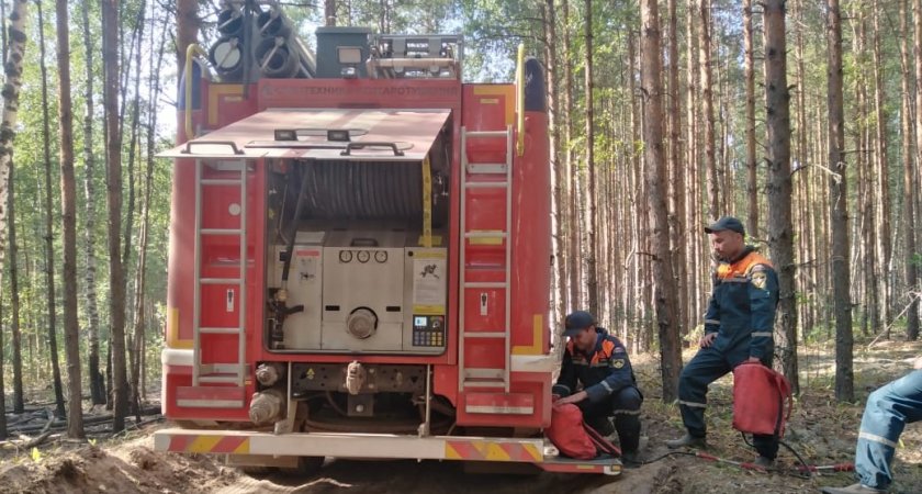 Крупный лесной пожар в Юринском районе потушили спустя 20 дней