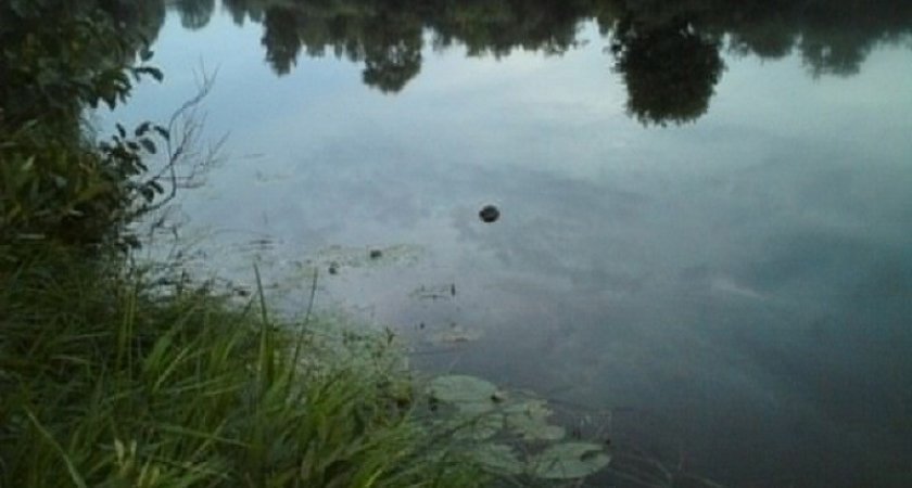 В пруду Волжского района утонул человек