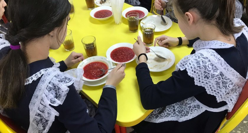 Родители марийских школьников могут пожаловаться в ОНФ на некачественное питание