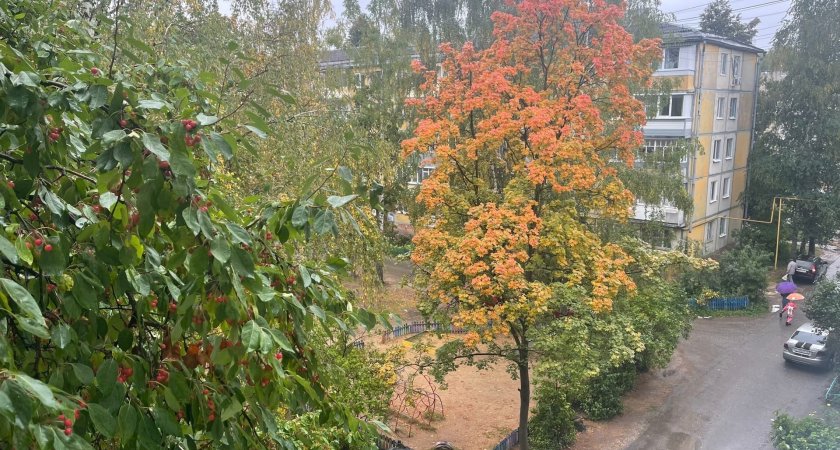 В пятницу в Марий Эл станет теплее