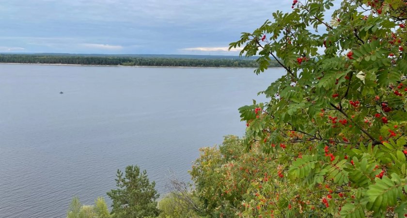 Субботний прогноз для жителей Марий Эл