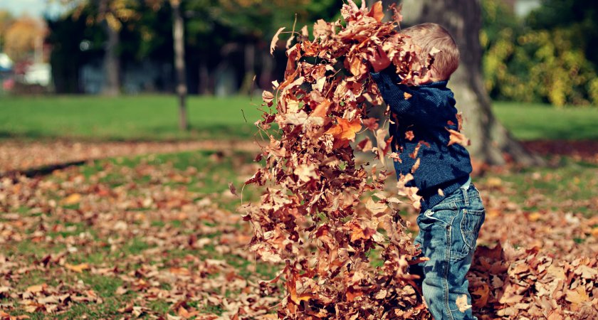 Теплая погода без дождей придет в воскресенье в Марий Эл