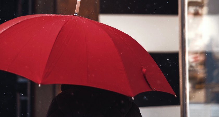 В пятницу жителей Марий Эл ожидает дождливая погода