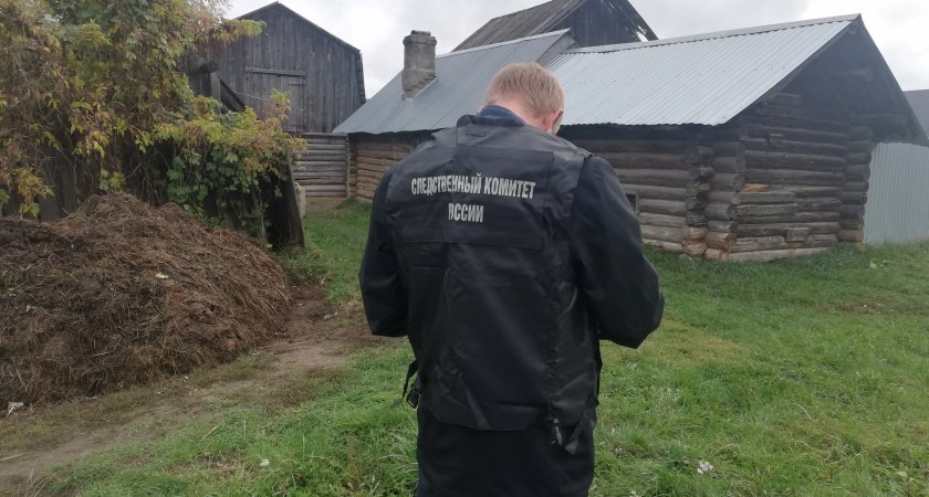 В Звениговском районе по горячим следам поймали убийцу