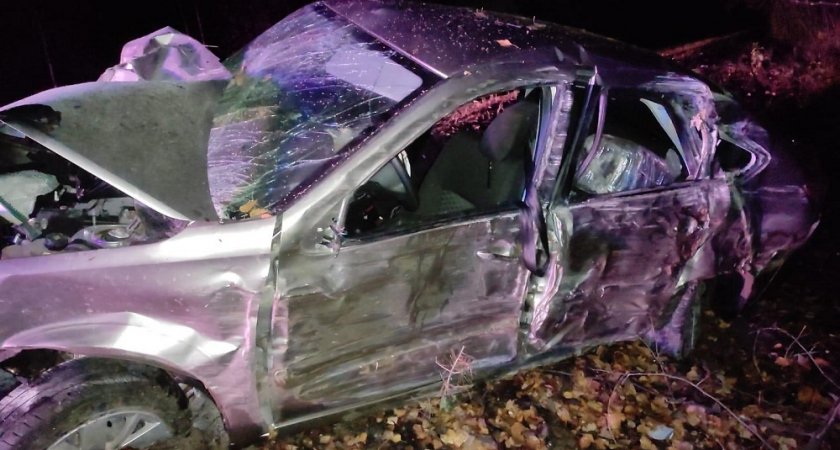 В Медведевском районе водитель вылетел в кювет 