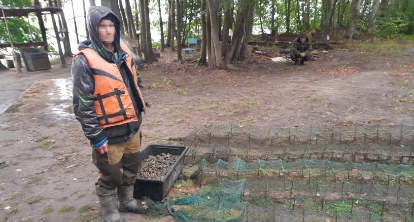 Пойманного в Марий Эл мужчину будут судить из-за 563 раков