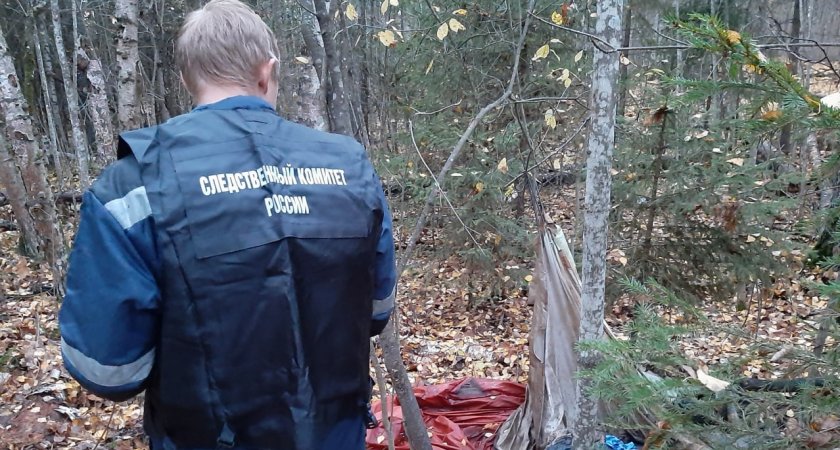 В Звениговском районе нашли тело пропавшего три года назад парня