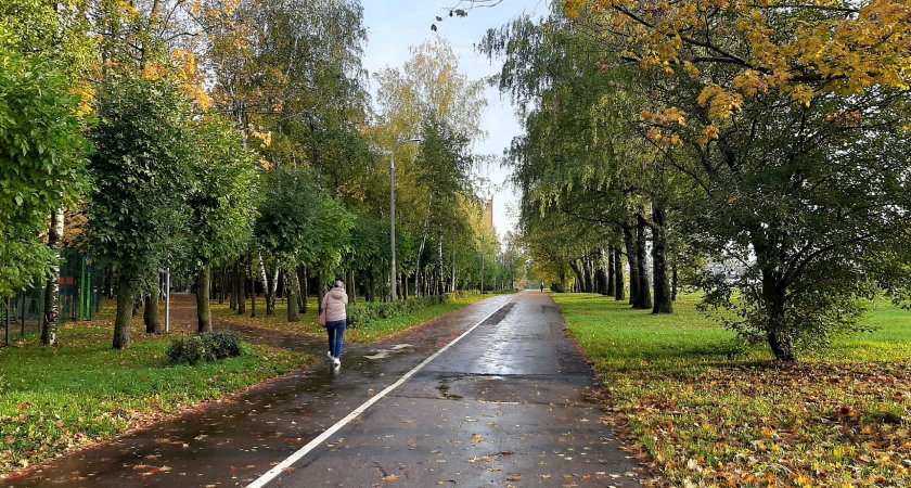 В погоне за женским счастьем йошкаролинка отдала сбережения "австралийцу"