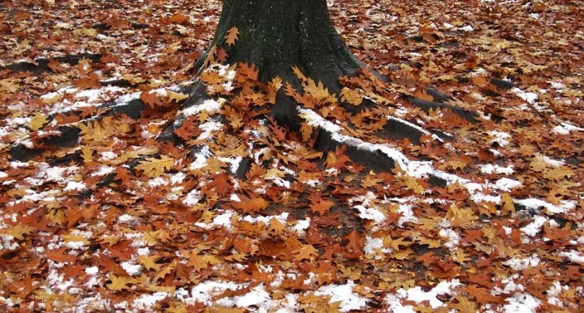 Синоптики обещают мокрый снег в Марий Эл