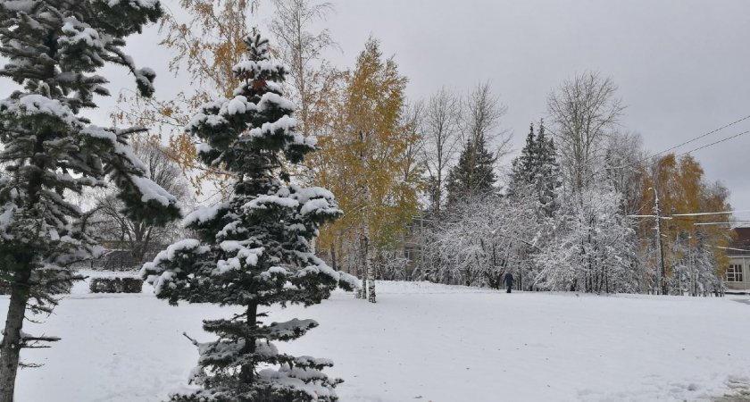 Прогноз на первый день ноября в Марий Эл