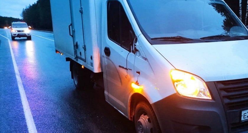 В Марий Эл за день сбили двух женщин и мужчину