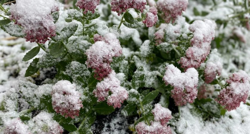 Синоптики предупреждают о снегопаде и гололедице в Марий Эл 