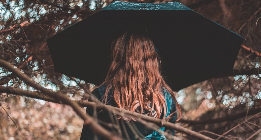 Синоптики обещают теплый дождливый четверг в Марий Эл