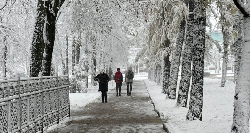 Официально бедных в стране стало меньше на 700 тысяч человек