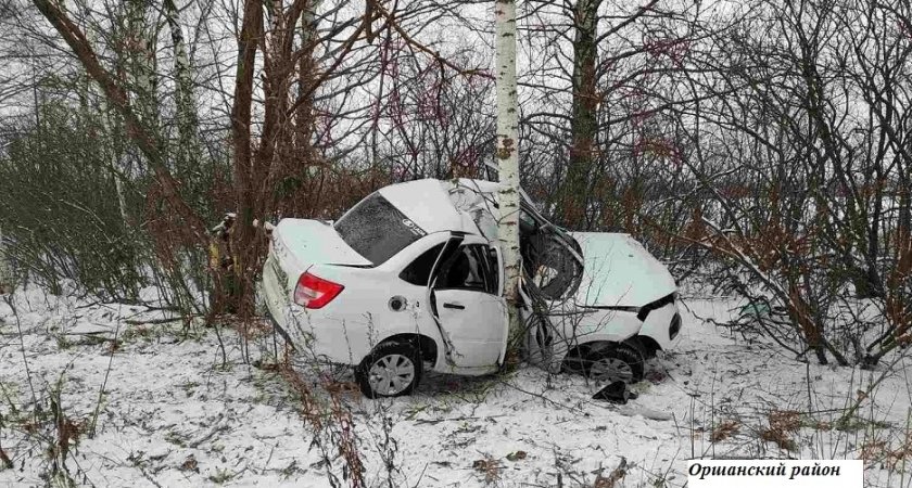 На трассе в Марий Эл легковушка съехала в кювет и врезалась в дерево