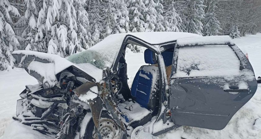В Марий Эл два человека погибли в ДТП