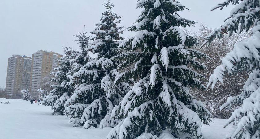 Синоптики Марий Эл обещают холод и бесснежную погоду в среду