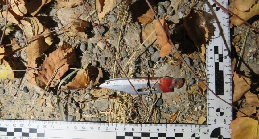 В Марий Эл двое мужчин напали на подростков