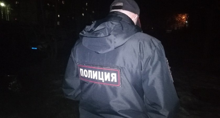 Житель Марий Эл не хотел в тюрьму и ударил полицейского мачете