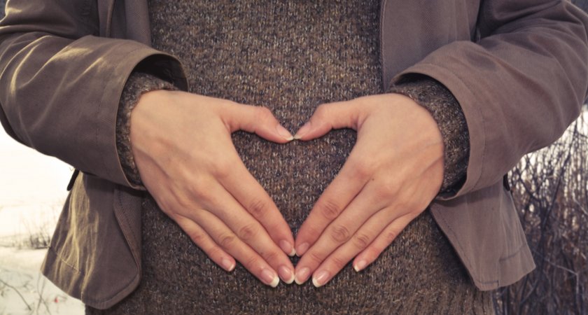 290 семей в 2022 году в Марий Эл получили региональный материнский капитал