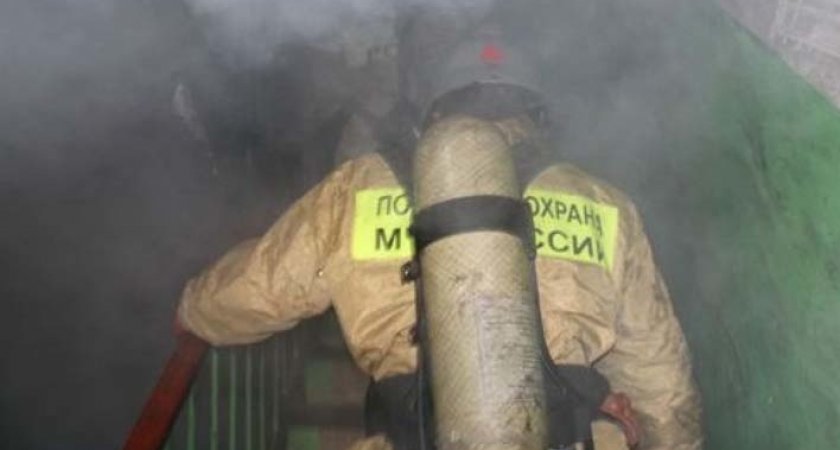 Пожар в Йошкар-Оле тушили 18 человек