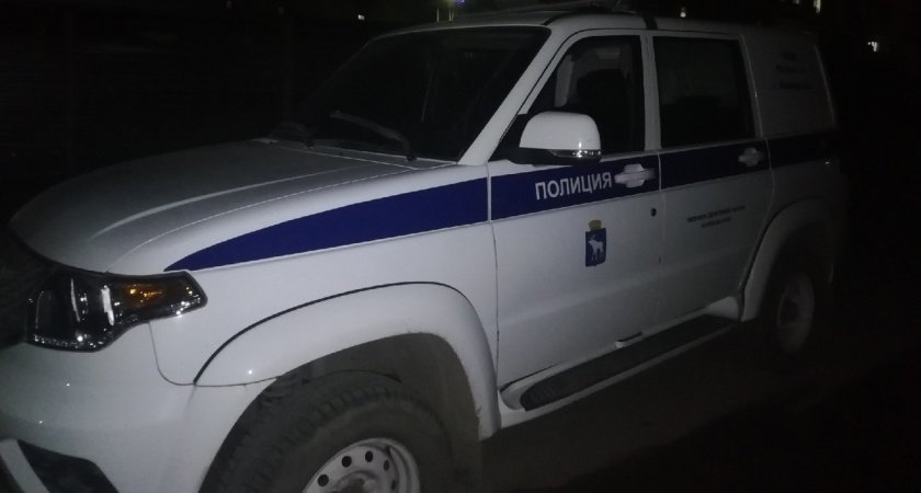 Житель Марий Эл угнал машину подруги и поехал кататься по селу