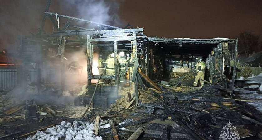 В Йошкар-Оле новогодняя ель стала причиной пожара в жилом доме с детьми