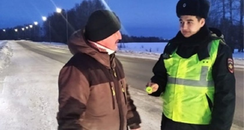 На трассах Марий Эл автоинспекторы выявили 12 пешеходов-невидимок