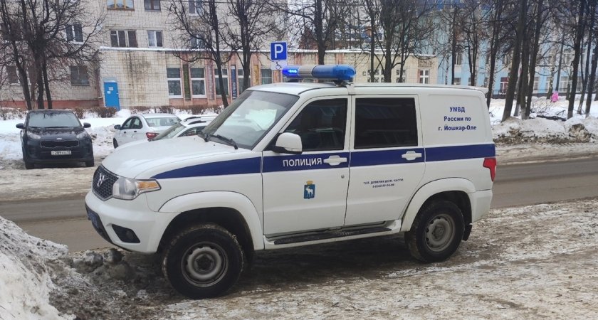 Йошкаролинка полгода горевала о пропаже сына, а он просто уехал на заработки