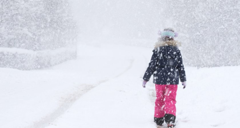 В субботу в Марий Эл ожидается снег и метель