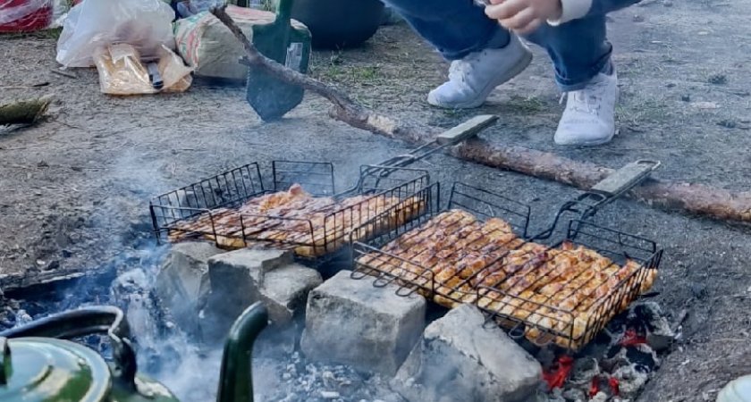 Дачников несказанно обрадуют новые правила по жарке шашлыка на участке