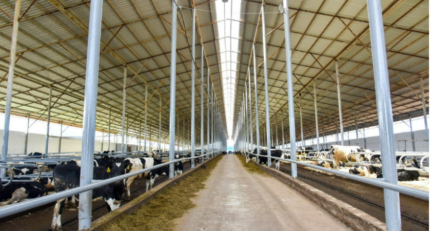 Кормач звениговского предприятия упал с кузова грузовика и погиб