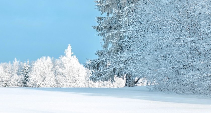 Синоптики обещают в Марий Эл морозную пятницу 