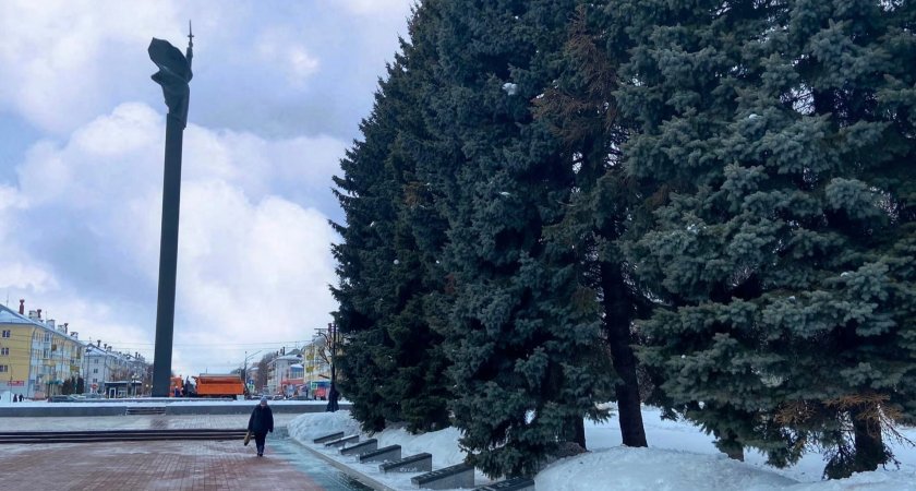 Как в Йошкар-Оле отметят День защитника Отечества