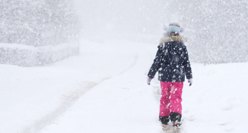 В воскресенье в Марий Эл ожидается снег и метель