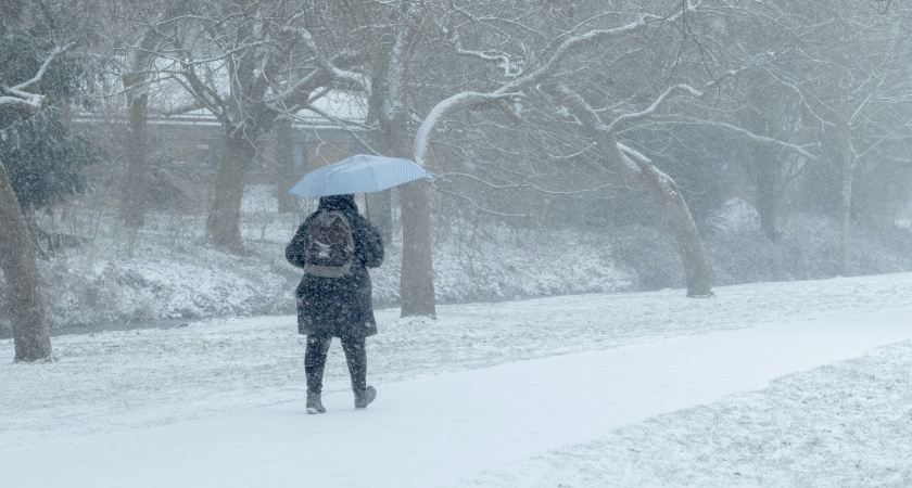 В четверг в Марий Эл придут метель и потепление
