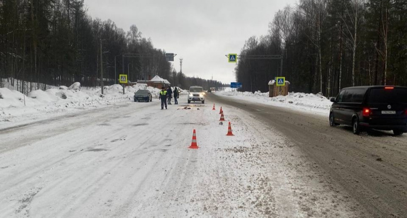 Газель сбила пешехода