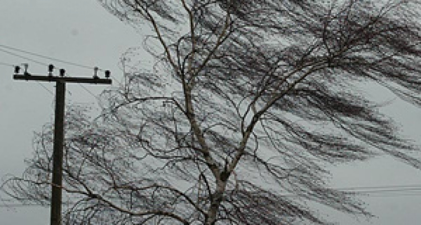 МЧС России по Марий Эл предупреждает о сильном ветре 12 марта